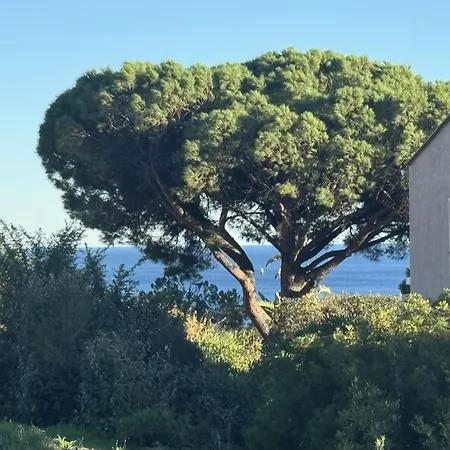 Les Coteaux De La Nartelle-26 By Interhome Apartment Sainte-Maxime